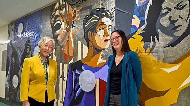 UCLA online textbook gives voice to Asian American, Pacific Islander history and cultures