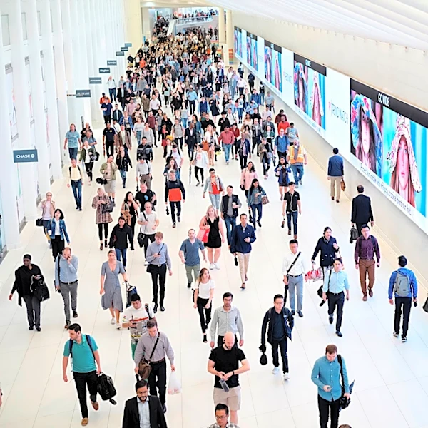 Young Americans’ job market optimism falls as older adults stay upbeat, new Gallup poll finds