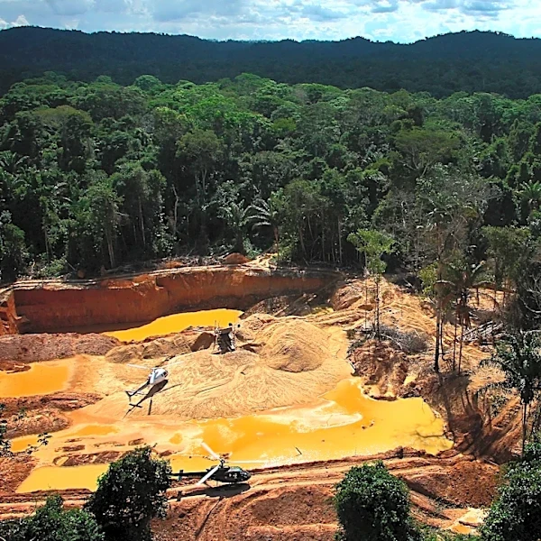 Indigenous Amazon groups urge the UN to curb organized crime, not militarize territories