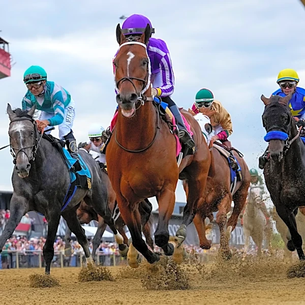 Iron Honor is a slight 9-2 favorite on the morning line for the Preakness