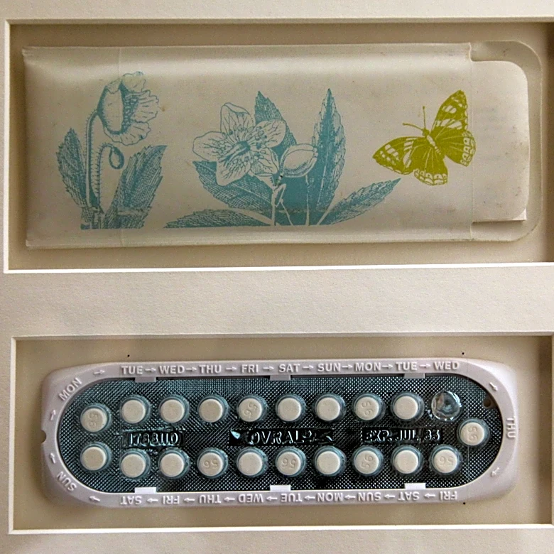 By changing women's lives, the pill changed the nation
