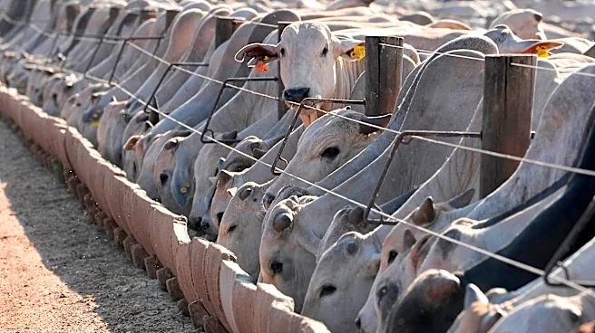 Brazil says the EU has moved to block its animal product exports starting from September