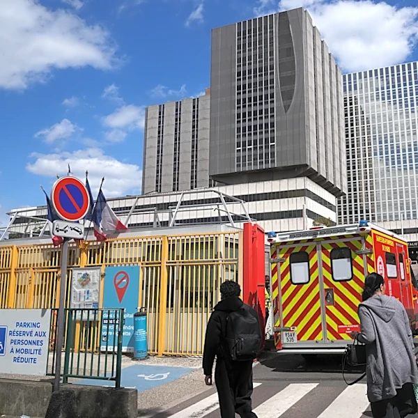 French hantavirus patient is critically ill and on an artificial lung as outbreak grows to 11