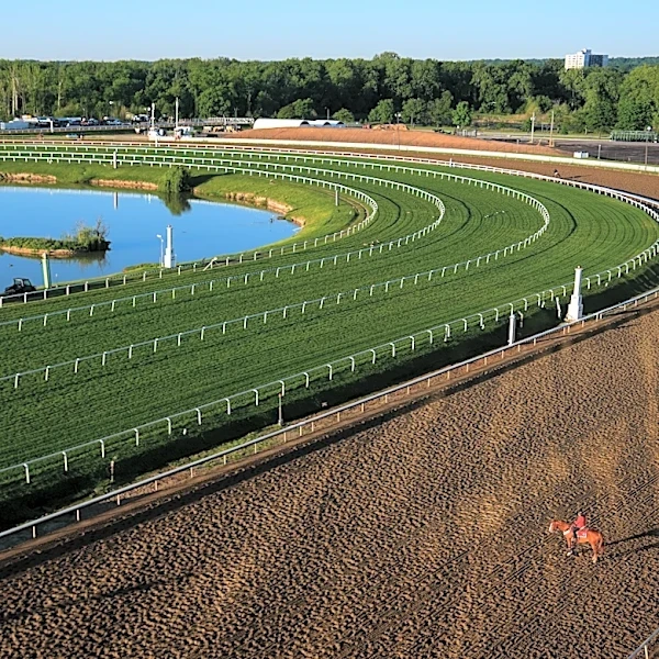 Laurel Park waited 114 years for the Preakness. It may be a farewell as much as a debut