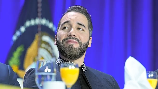 US deportations to El Salvador double as Bukele aligns himself with Trump agenda