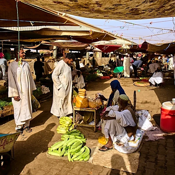 Over 40% of Sudan's population face high levels of acute food insecurity, monitoring group warns