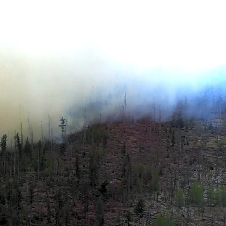 Small medical plane crashes in New Mexico mountains, killing all 4 people aboard