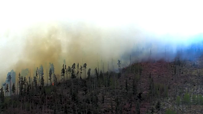 Small medical plane crashes in New Mexico mountains, killing all 4 people aboard