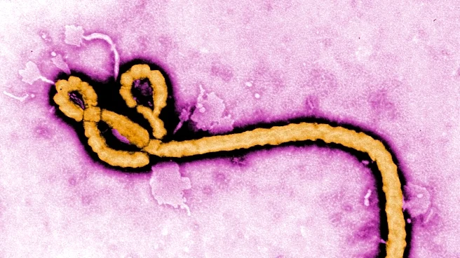 A look at major Ebola outbreaks and when the disease was first identified