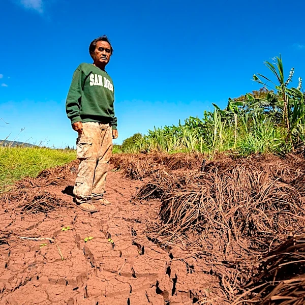 Hawaii’s worst flooding in 20 years leaves farmers struggling and fewer veggies at the market