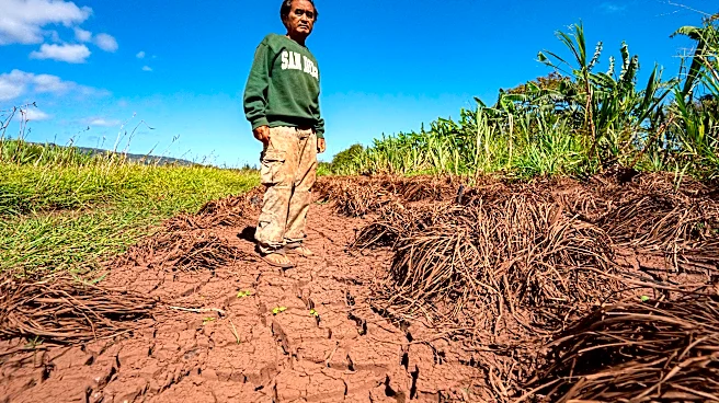 Hawaii’s worst flooding in 20 years leaves farmers struggling and fewer veggies at the market