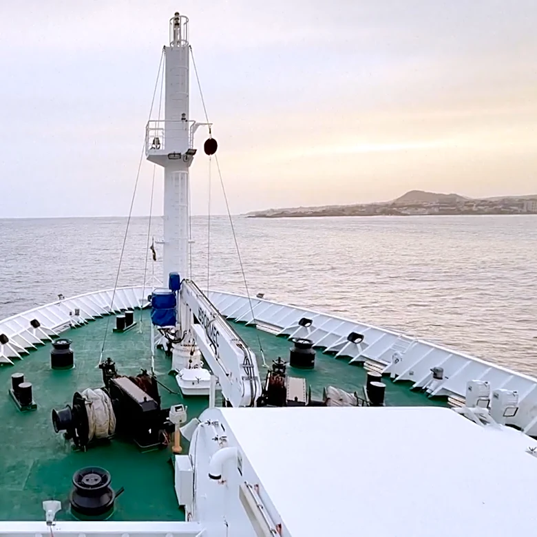 Demand for cruises appears undimmed despite hantavirus and other onboard outbreaks