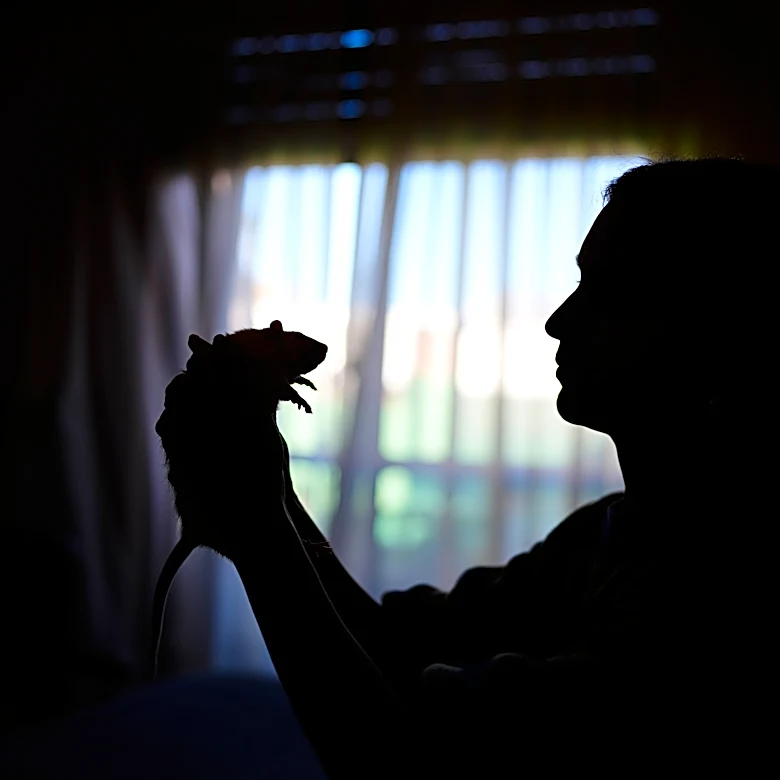 Unwanted lab rats find new homes and are adopted thanks to an Argentine organization
