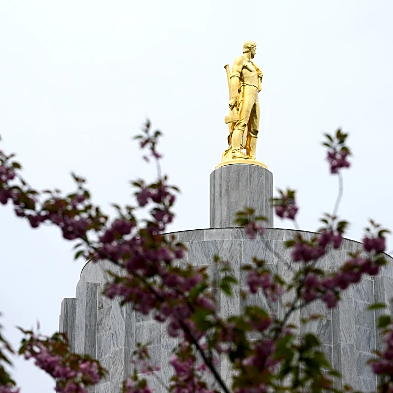 AP Decision Notes: What to expect in Oregon’s primaries