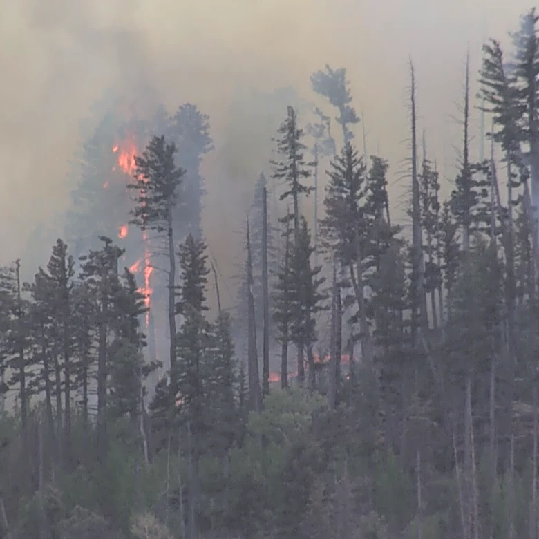 New Mexico wildfire sparked by fatal medical plane crash spreads quickly in rural area