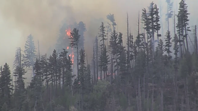 New Mexico wildfire sparked by fatal medical plane crash spreads quickly in rural area