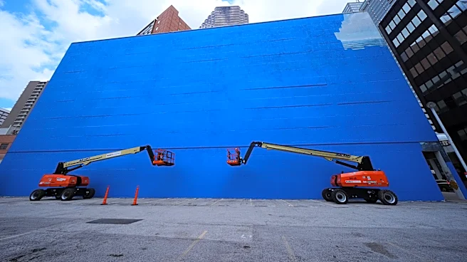 An outcry erupts as a whale mural beloved by many in Dallas is replaced with art for the World Cup