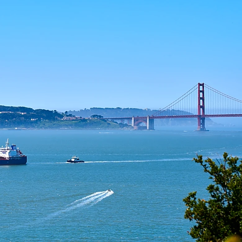 A new whale detection network launches in San Francisco Bay, alerting ships in real time