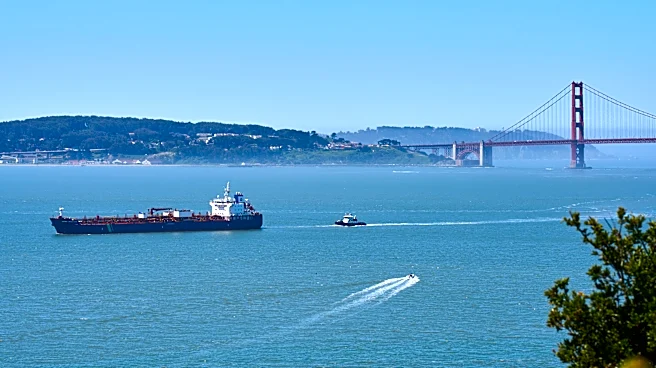 A new whale detection network launches in San Francisco Bay, alerting ships in real time