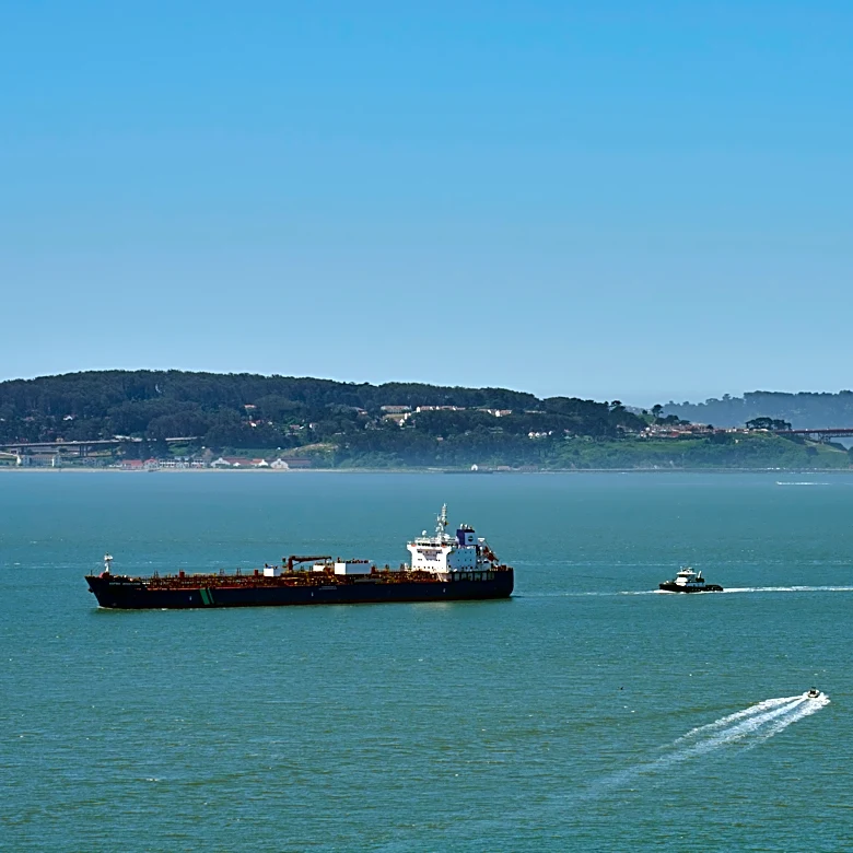 San Francisco turns to AI to avoid collisions between ships and whales searching for food