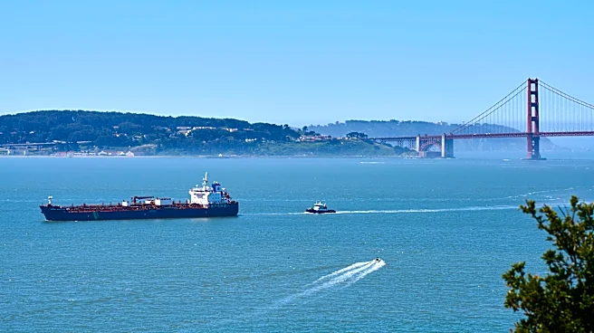 San Francisco turns to AI to avoid collisions between ships and whales searching for food