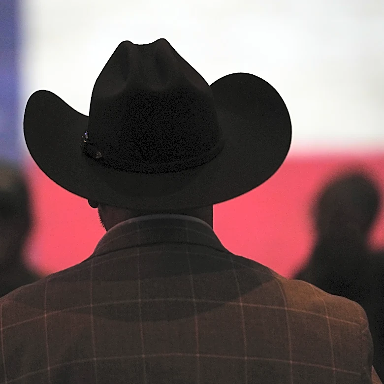 Democrats try to defeat candidate expressing antisemitic views in Texas runoff on Tuesday