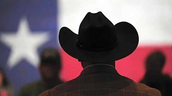 Democrats try to defeat candidate expressing antisemitic views in Texas runoff on Tuesday