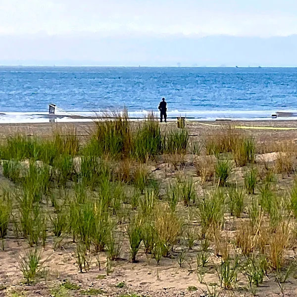 Brooklyn mom who drowned 3 kids on Coney Island beach sentenced to 20 years to life