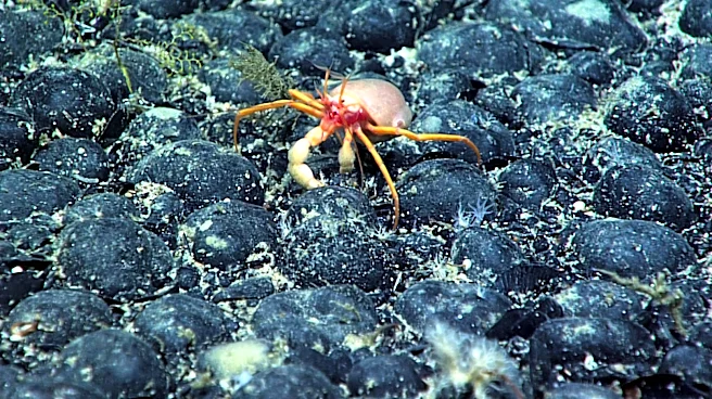 Trump’s push for deep-sea mining spawns new companies and fast-tracked rules