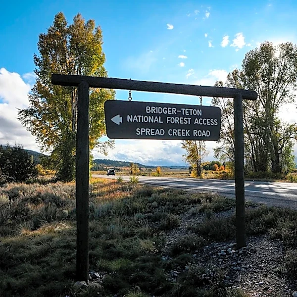 Do Jackson Hole’s busiest trails create a wildlife ‘sacrifice zone’? Study finds coexistence.
