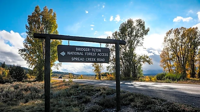 Do Jackson Hole’s busiest trails create a wildlife ‘sacrifice zone’? Study finds coexistence.