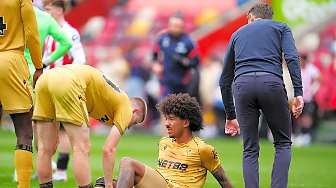 US defender Chris Richards has ankle ligament damage ahead of World Cup