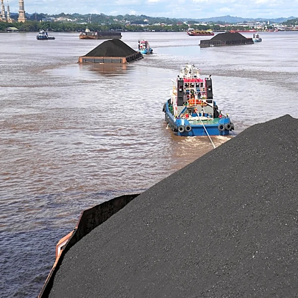 Indonesia tightens control over key commodities in major trade takeover, influencing global exports