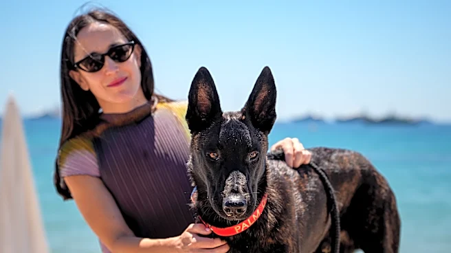 A round of a-paws for ‘La Perra,’ winner of the Palm Dog award at Cannes