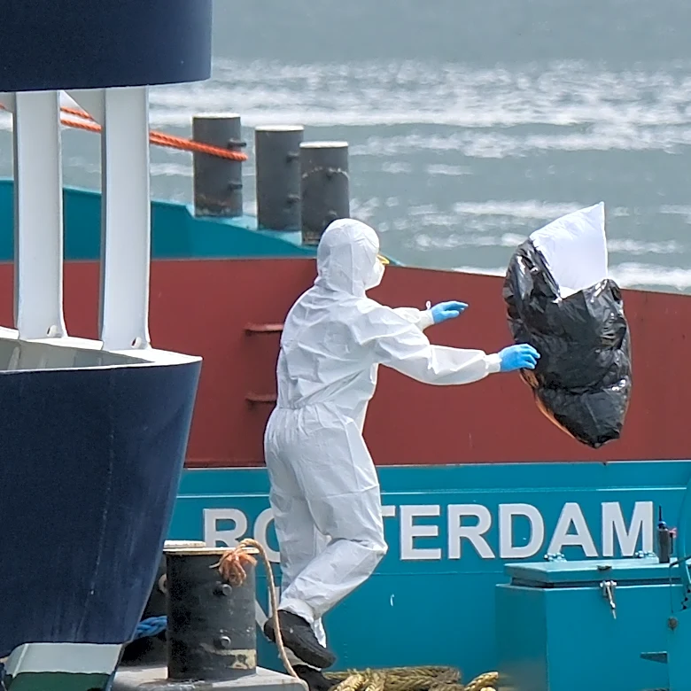 How South African scientists identified hantavirus on a cruise ship thousands of miles away