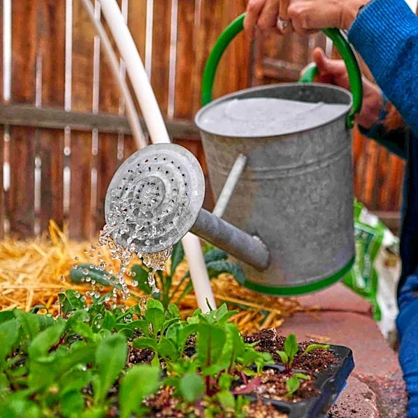 Gardeners often hear about supposed hacks and quick fixes. Here are some common ones debunked