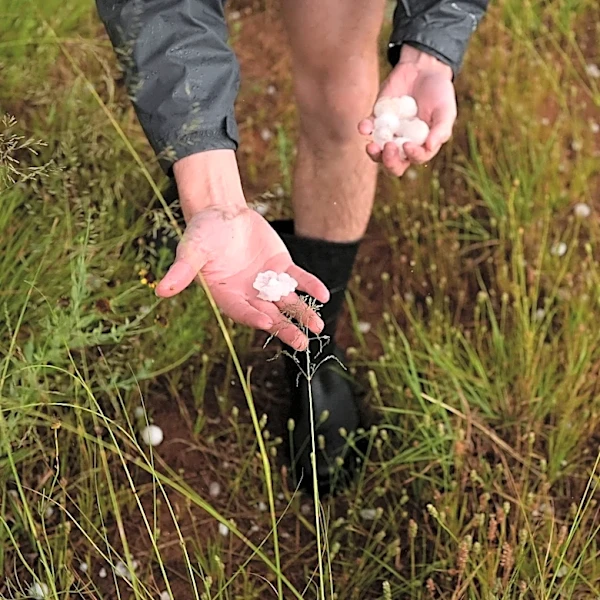 A warmer world creates bigger and more damaging hailstones, study says