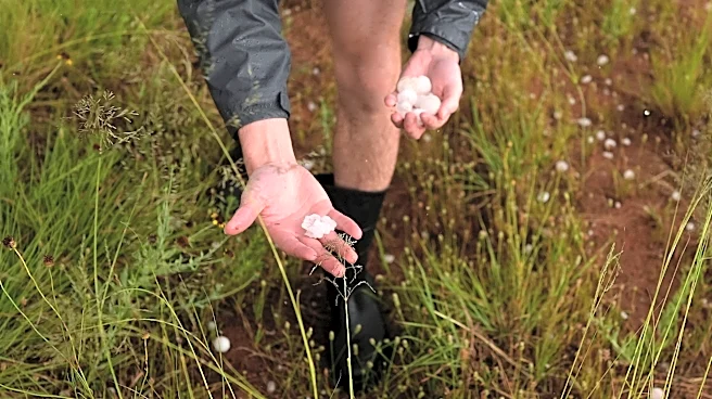 A warmer world creates bigger and more damaging hailstones, study says