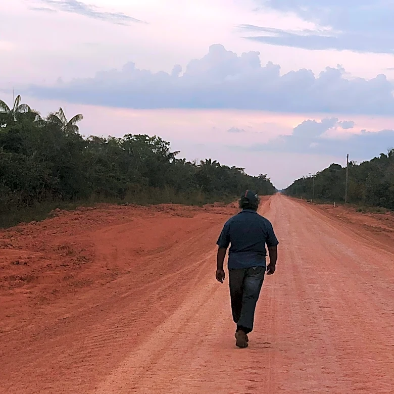 Brazil to invest $75 million in highway through Amazon, fueling deforestation concerns