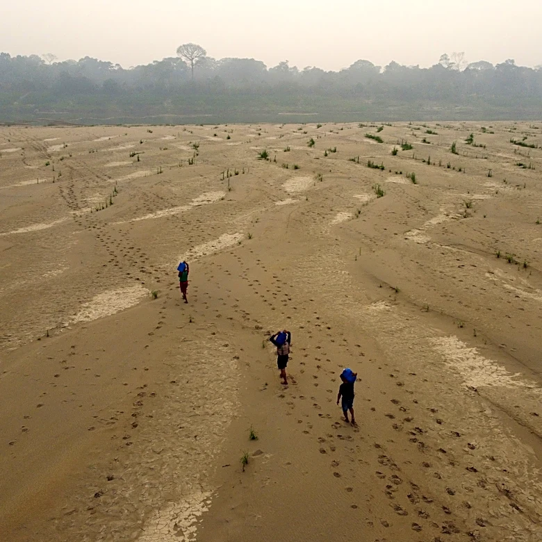 Think it's hot now? The next five years will smash records, UN says