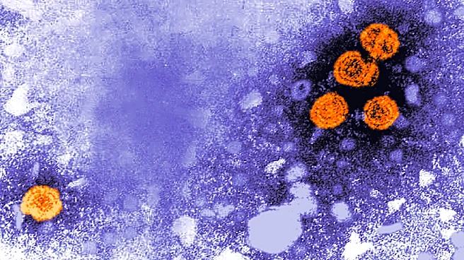 Experimental hepatitis B drug might offer 'functional cure' for a subset of patients