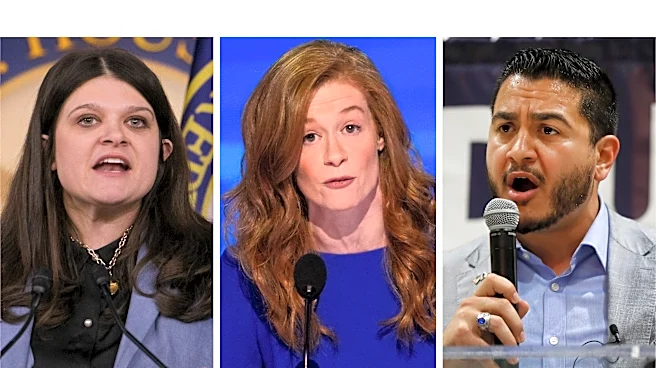 Michigan Democrats get a chance to make their case for the Senate and their party’s future