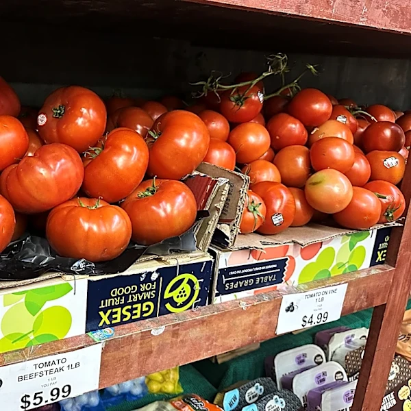 Tomatoes become latest symbol of America’s affordability squeeze