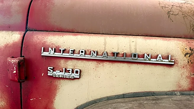 In farm country, an old American pickup truck becomes more than a workhorse