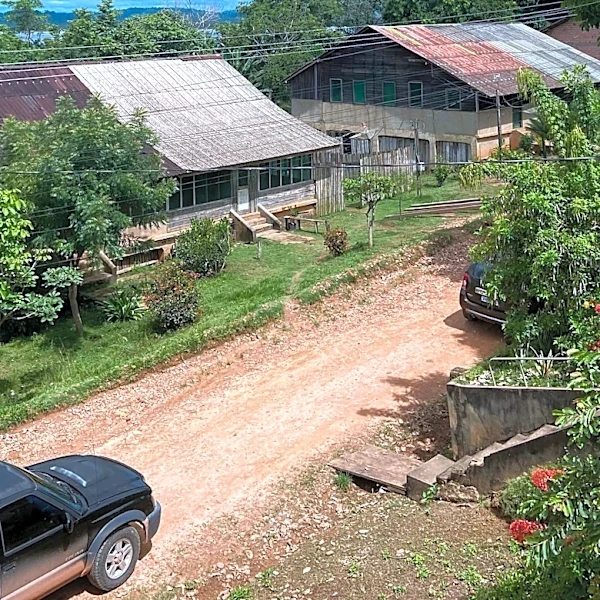 Brazilian court orders restoration of Fordlandia, Henry Ford’s Amazon ghost town