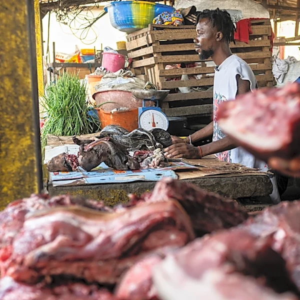 As Ebola scourges Congo, experts warn of link to the consumption of 'wild meat'