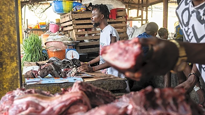 As Ebola scourges Congo, experts warn of link to eating wild animals