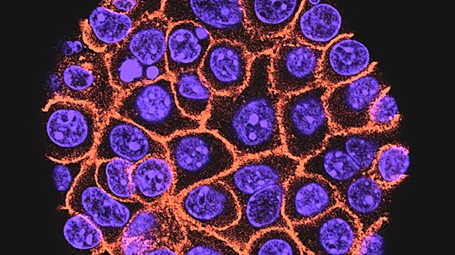 Experimental pill promises new hope for deadly pancreatic cancer