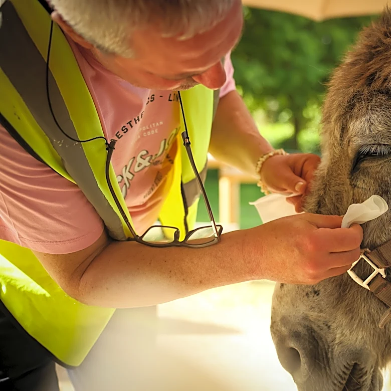 Patients find help with therapy donkeys at psychiatric hospital near Paris