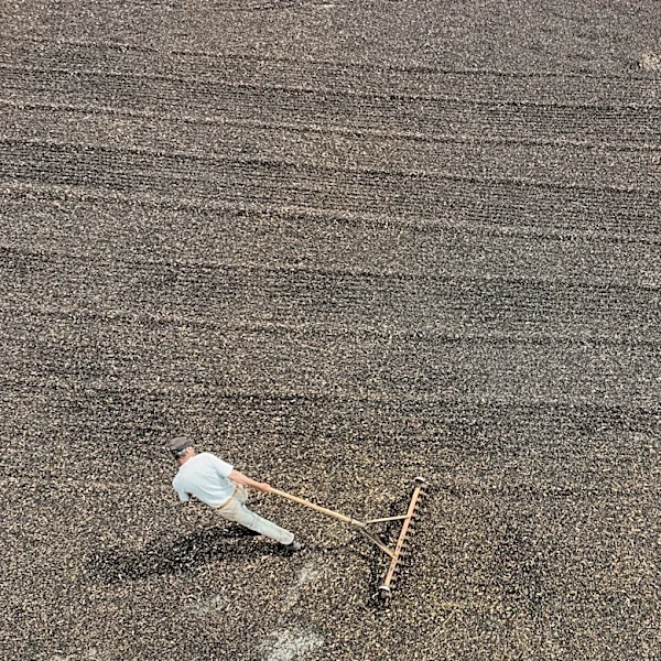 Trump administration proposes 25% tariffs on Brazil despite extensive US trade surplus